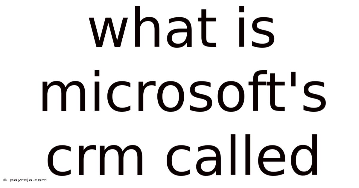 What Is Microsoft's Crm Called What Is Microsoft's Crm Called