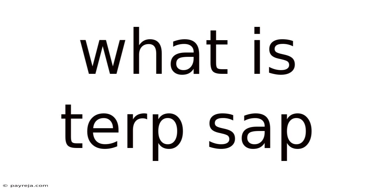 What Is Terp Sap
