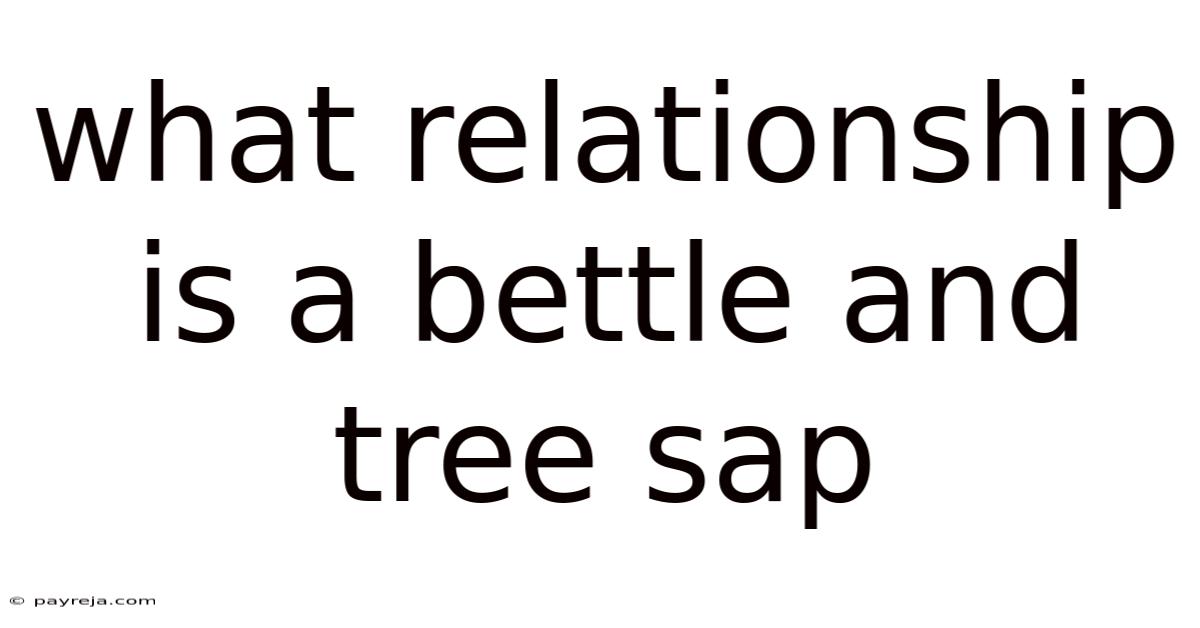 What Relationship Is A Bettle And Tree Sap What Relationship Is A Bettle And Tree Sap