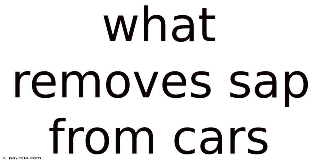 What Removes Sap From Cars What Removes Sap From Cars