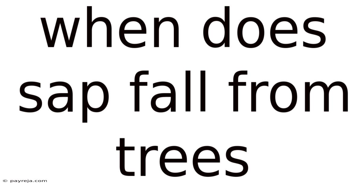 When Does Sap Fall From Trees