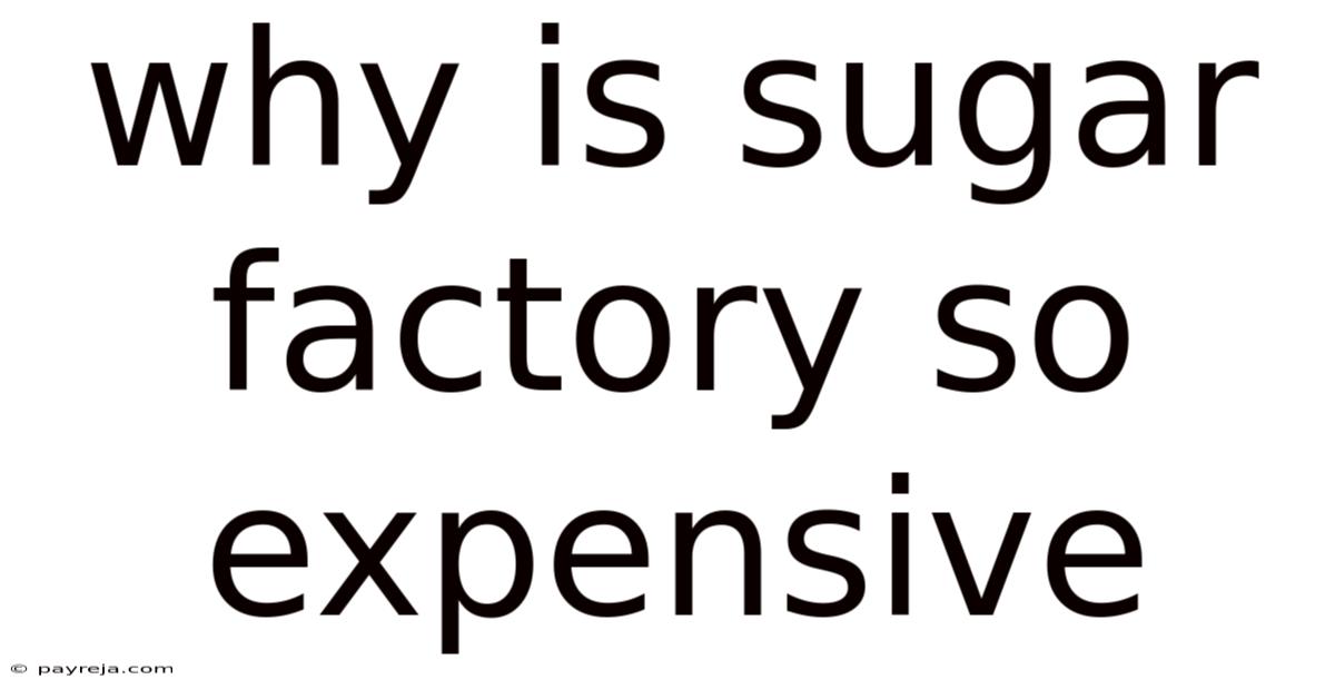 Why Is Sugar Factory So Expensive Why Is Sugar Factory So Expensive